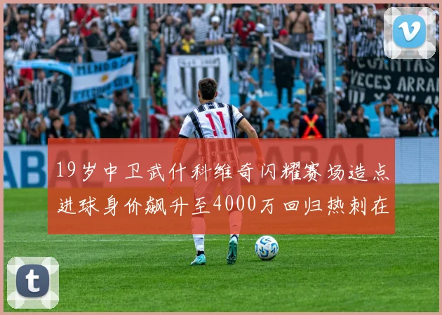 19岁中卫武什科维奇闪耀赛场造点进球身价飙升至4000万回归热刺在即
