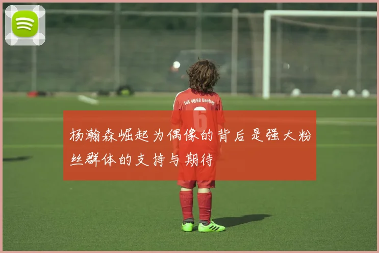 杨瀚森崛起为偶像的背后是强大粉丝群体的支持与期待