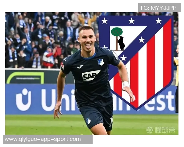 多特蒙德关注霍芬海姆前锋阿斯拉尼拜仁并不将其列为首要引援目标 多特蒙德关注霍芬海姆前锋阿斯拉尼拜仁并不将其列为首要引援目标